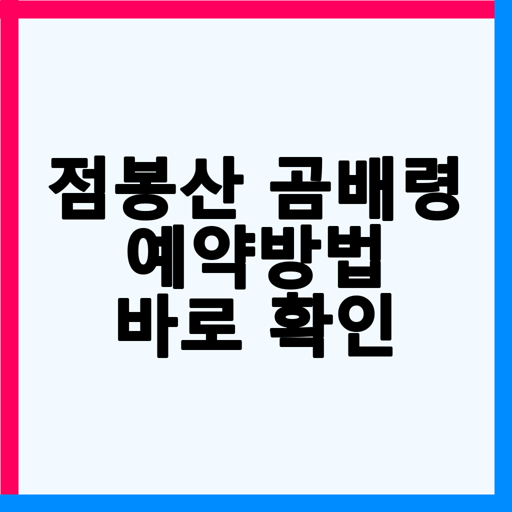 점봉산 곰배령: 천상의 화원 탐방을 위한 완벽 가이드