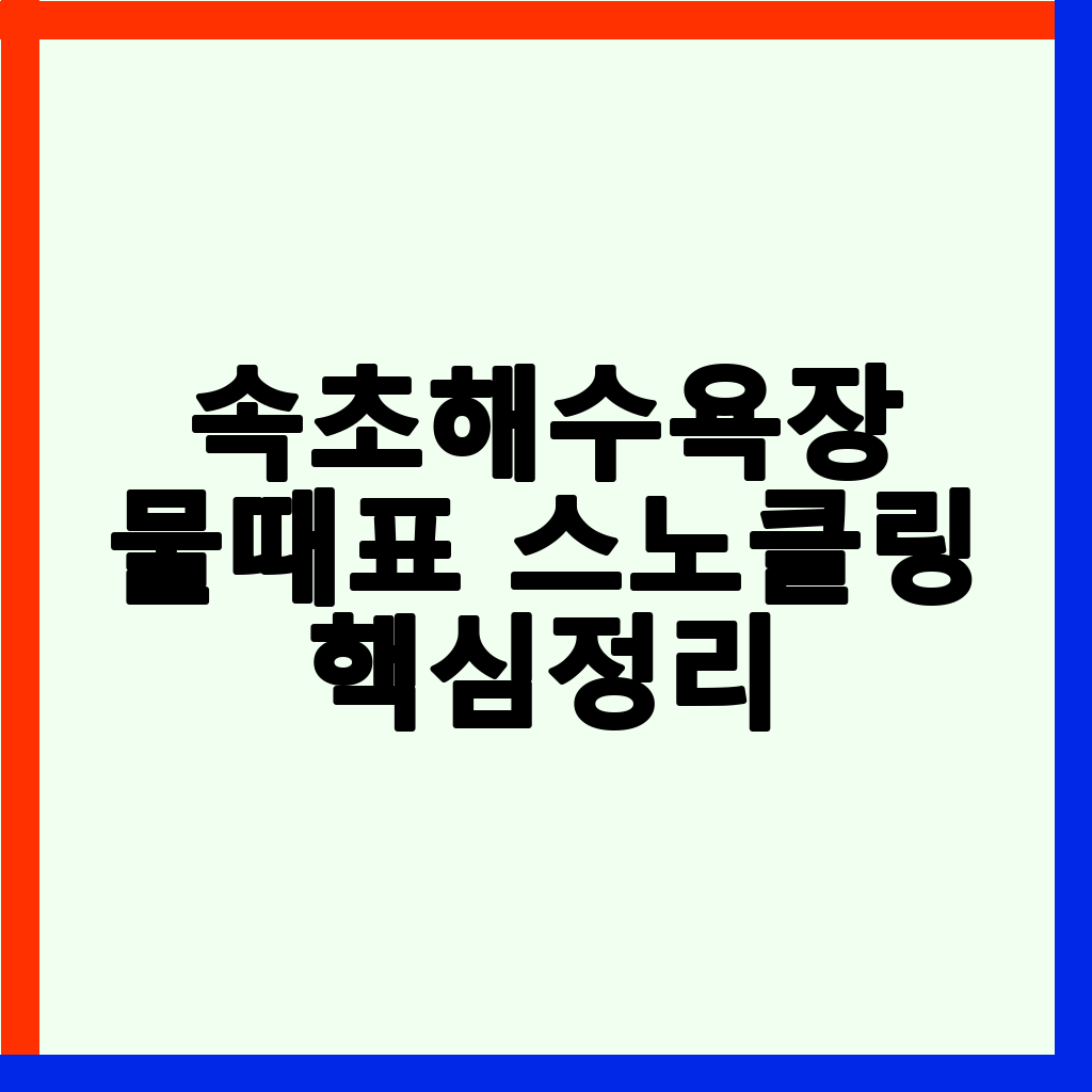 2026년 속초해수욕장 완벽 가이드: 물때표, 스노클링, 주차, 편의시설 총정리
